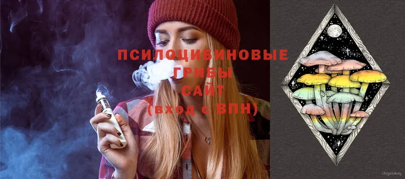 Псилоцибиновые грибы MAGIC MUSHROOMS  кракен сайт  Нягань 